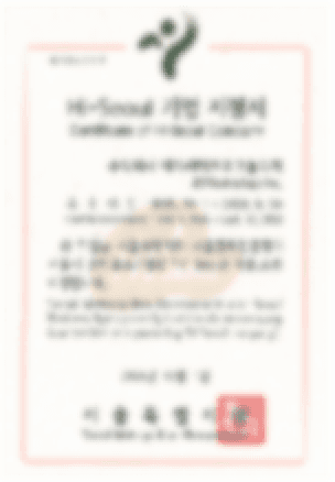 하이서울기업지정서